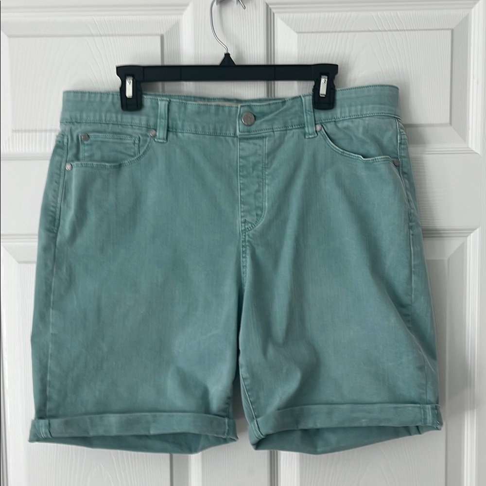 Mint Green Denim Shorts